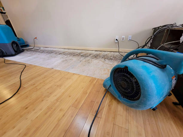 Professional Water Removal technician working in Buellton, CA